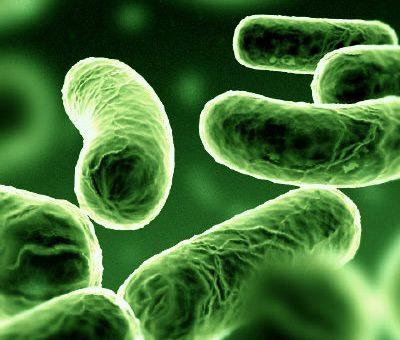 Misure tecniche, organizzative e procedurali di prevenzione e protezione
